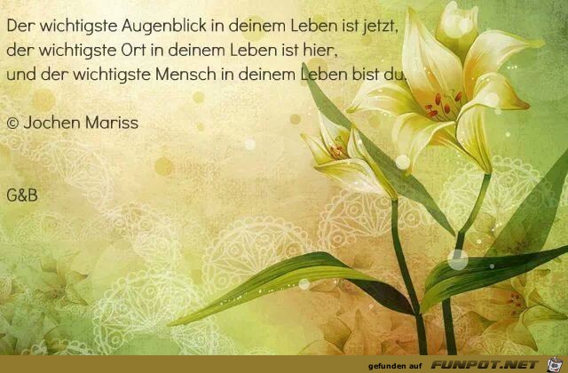 Der wichtigste Augenblick... Der wichtigste Augenblick...