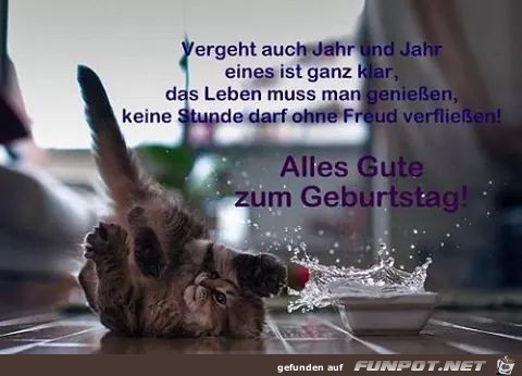 alles gute 2 alles gute 2