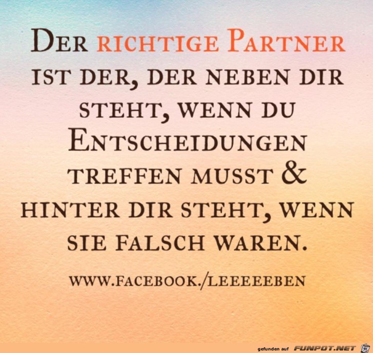 der richtige partner