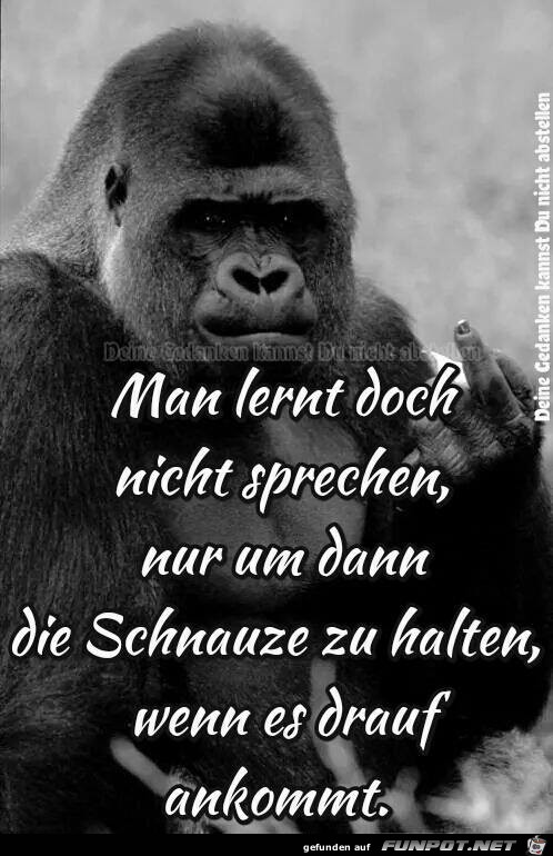 Lernen Lernen