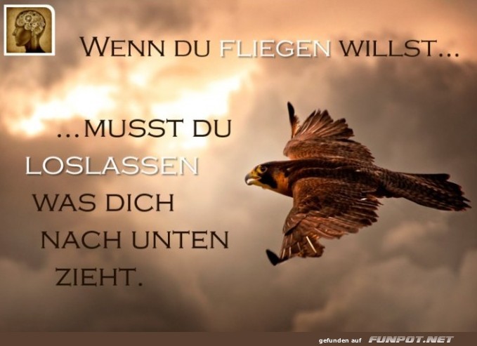 10 schöne Sprüche und Lebensweisheiten aus... 10 schöne Sprüche und Lebensweisheiten aus...