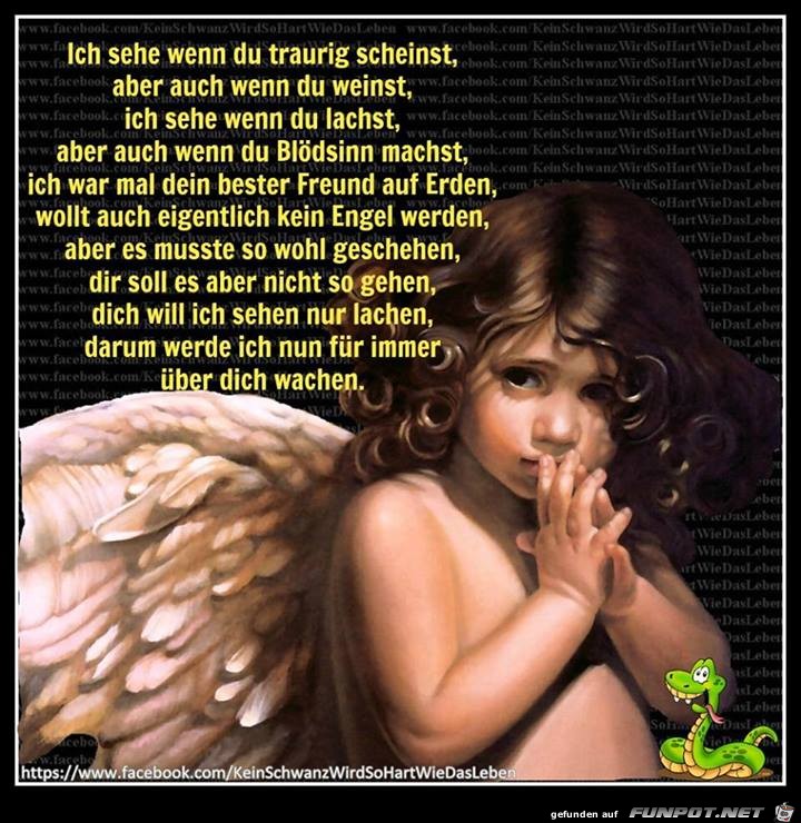 Ich sehe Ich sehe