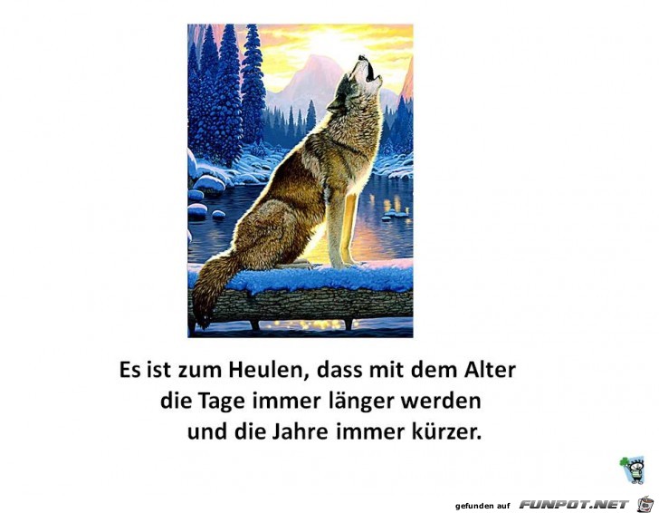 Zum Heulen Zum Heulen