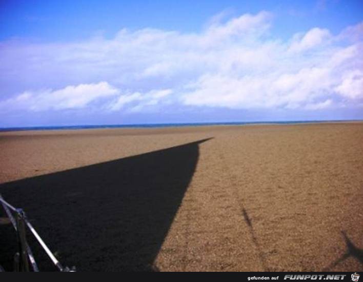 image004 image004