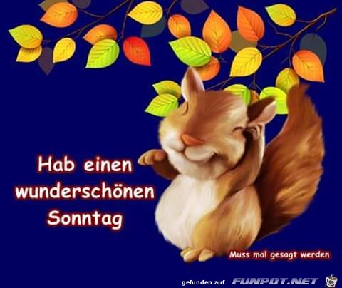 Sonntag Sonntag