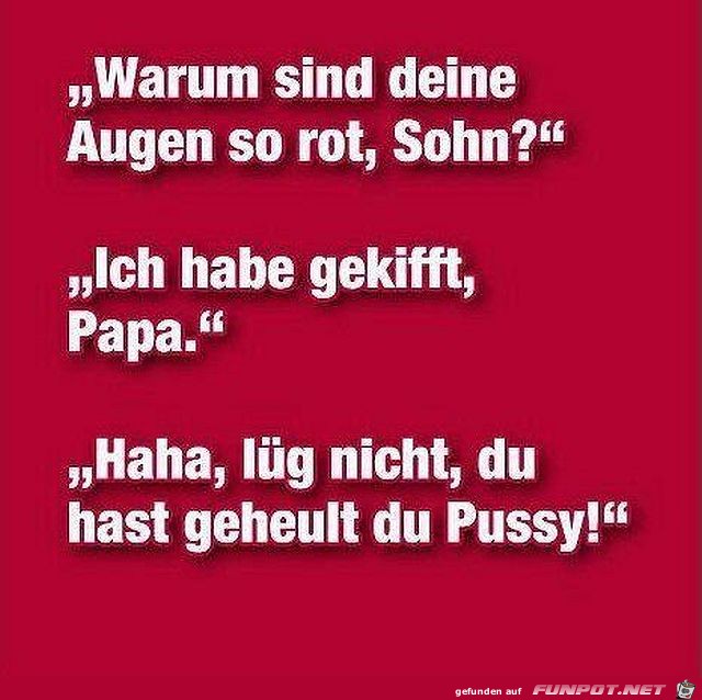 Immer nur lgen