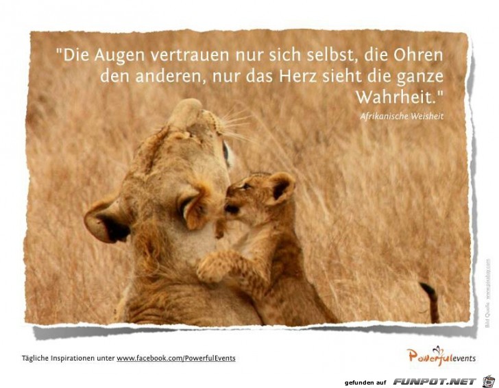 Die Augen vertrauen nur sich selbst... Die Augen vertrauen nur sich selbst...
