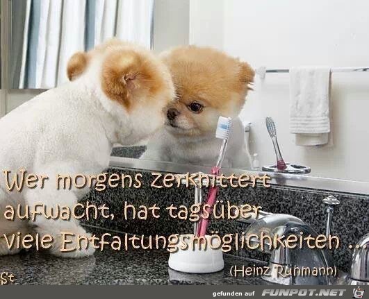 zerknittert zerknittert
