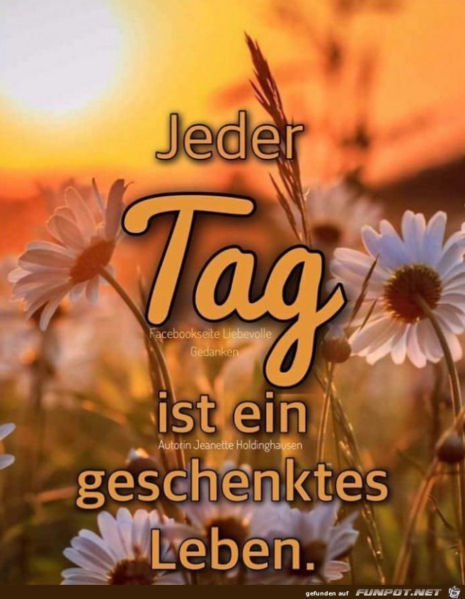 jeder tag ist