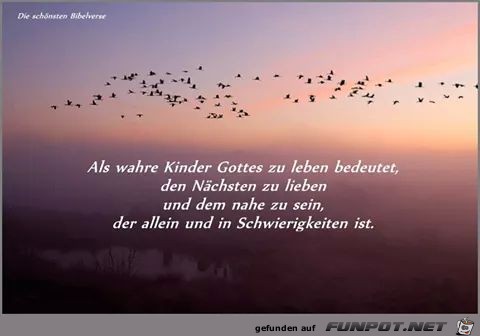 Kinder Gottes Kinder Gottes