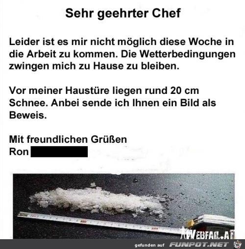 witzige Bilder aus verschiedenen Blogs