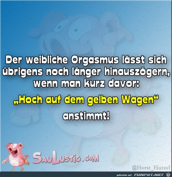 Der weibliche Orgasmus