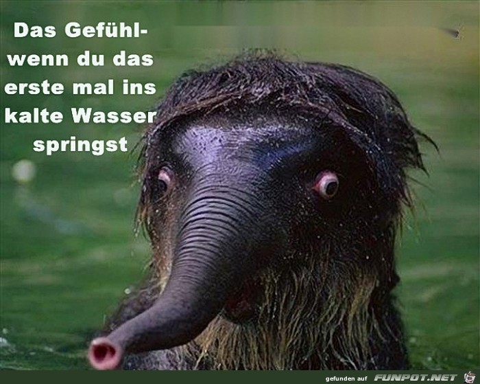 Das Gefühl - wenn Du das erste... Das Gefühl - wenn Du das erste...