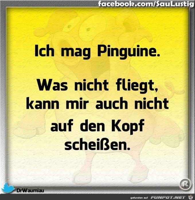 pinguine pinguine