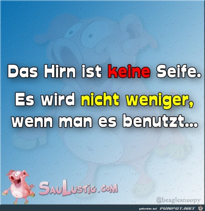 Hirn-ist-keine-Seife Hirn-ist-keine-Seife