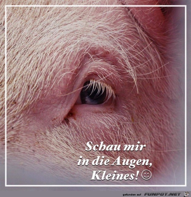 kleines kleines