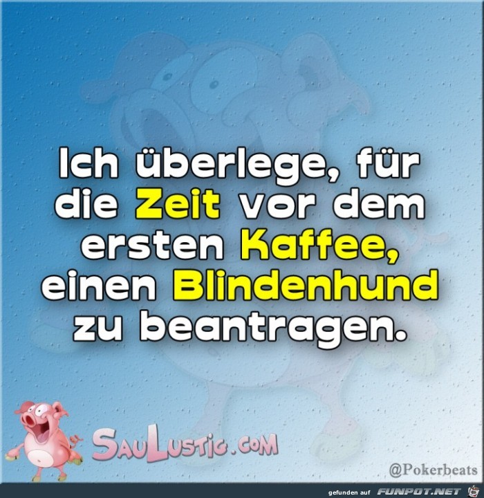 Einen-Blindenhund Einen-Blindenhund