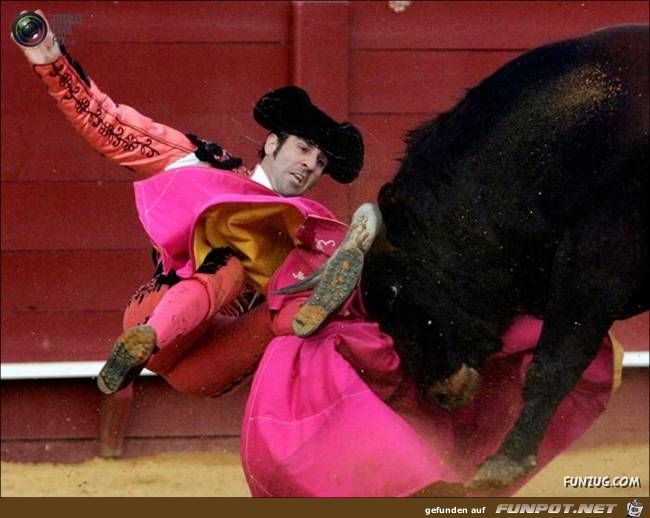 Bulls Brutal Revenge Funzug org 08 Bulls Brutal Revenge Funzug org 08