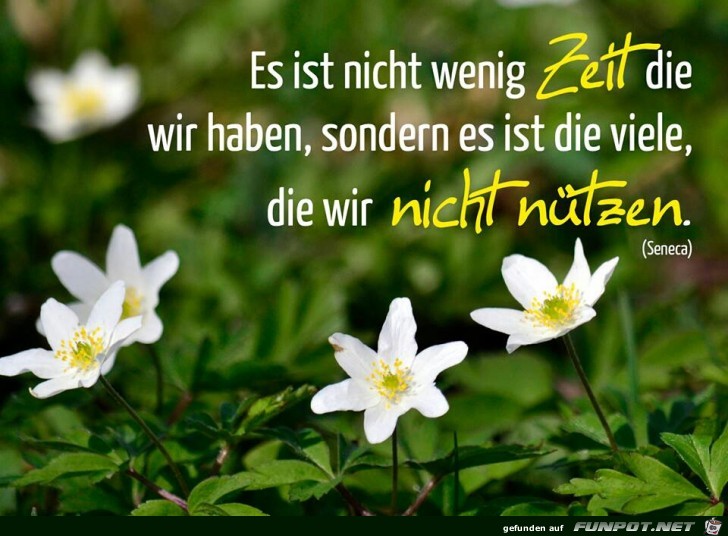 Es ist nicht wenig Zeit... Es ist nicht wenig Zeit...