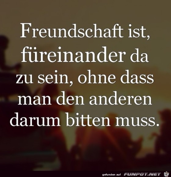 Freundschaft ist