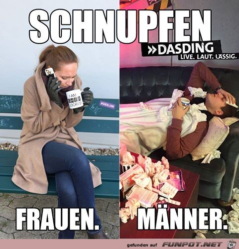 Schnupfen