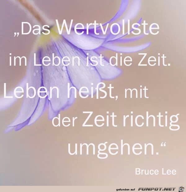 Das wertvollste im Leben Das wertvollste im Leben