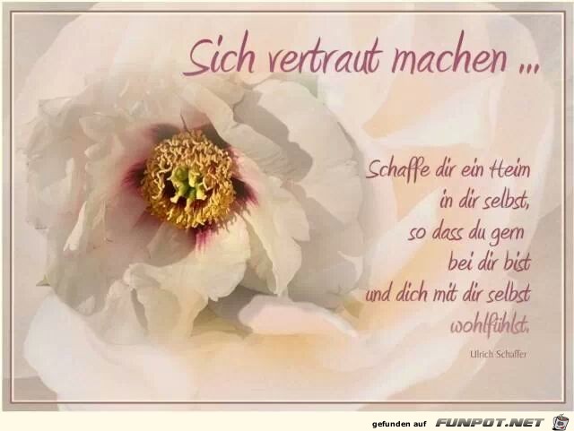 sich vertraut machen... sich vertraut machen...
