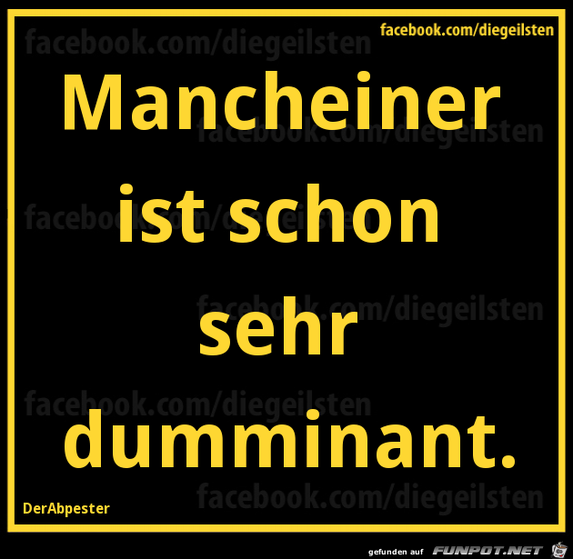 diegeilsten dumminant diegeilsten dumminant