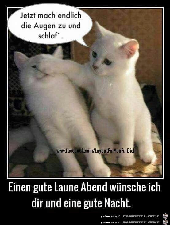 eine gute laune