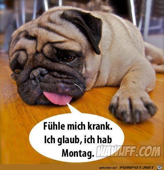 Fuehle mich kank Fuehle mich kank