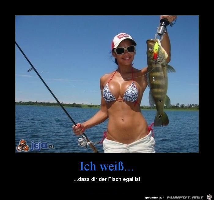 Ich weiss Ich weiss