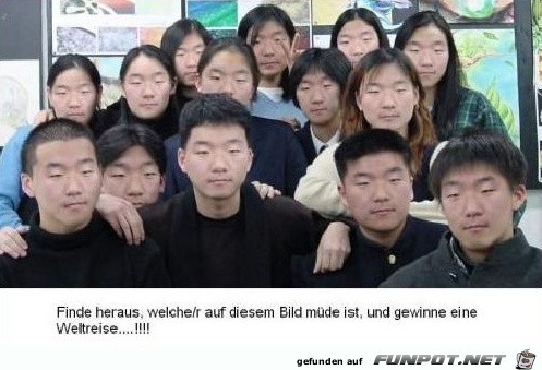 suchbild suchbild
