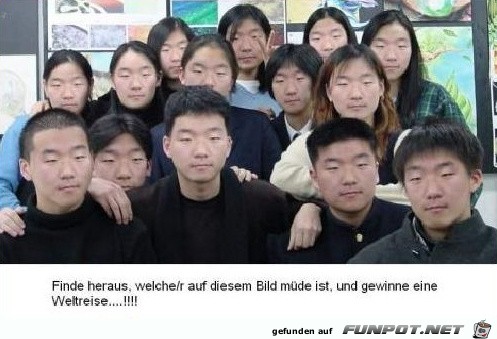 Lustige Bilder