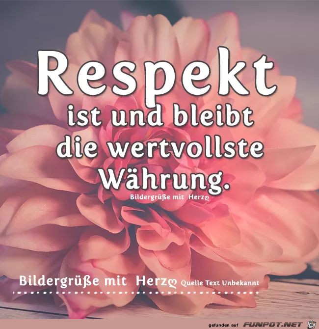 Respekt Respekt