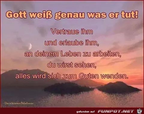Gott weiss genau Gott weiss genau