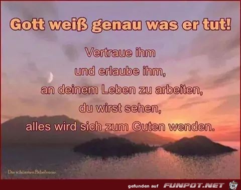 Gott weiss genau