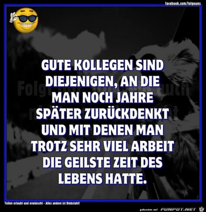 Gute Kollegen