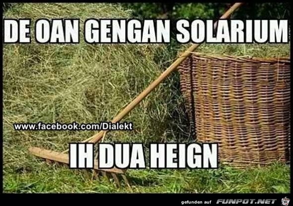heigen heigen