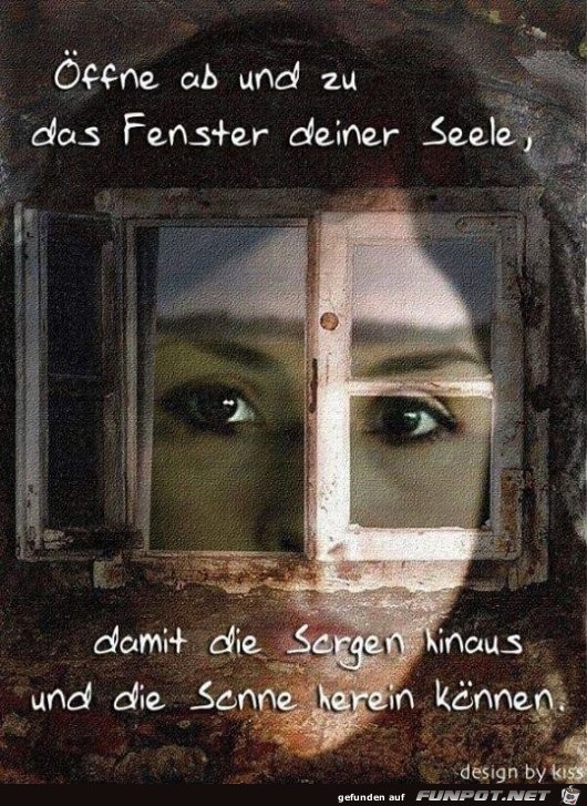 Fenster