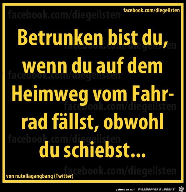 diegeilsten betrunken diegeilsten betrunken