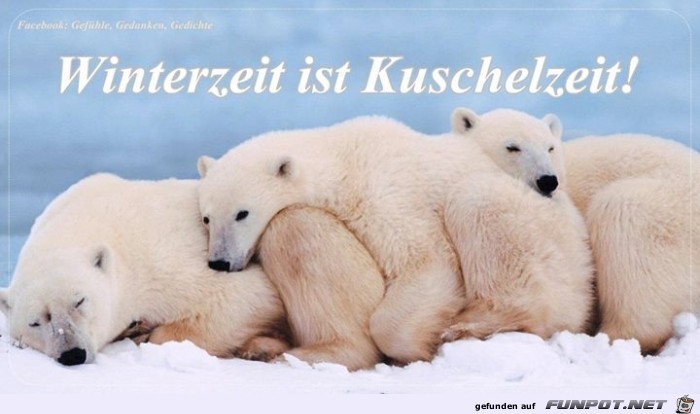 kuschelzeit