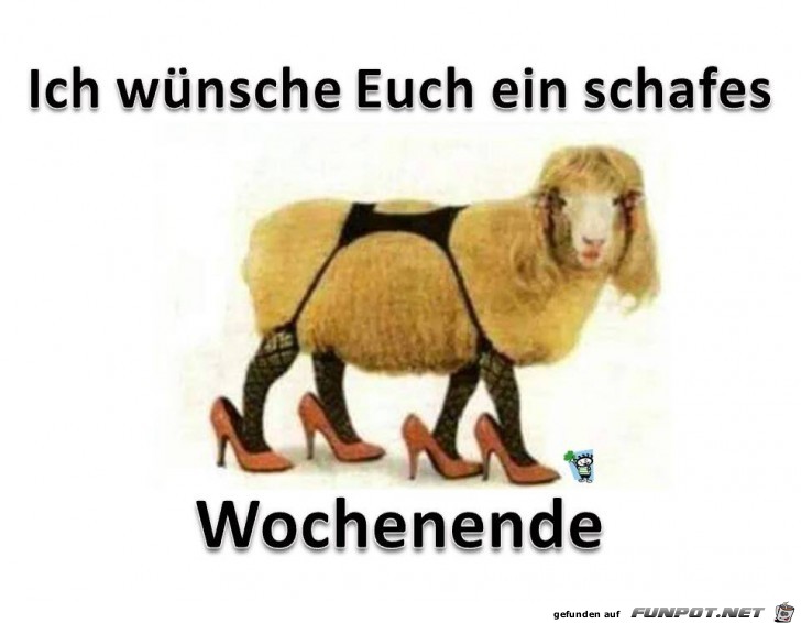 Schafes Wochenende