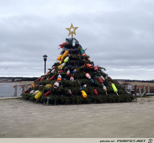 Weihnachtsbaum an der Kueste