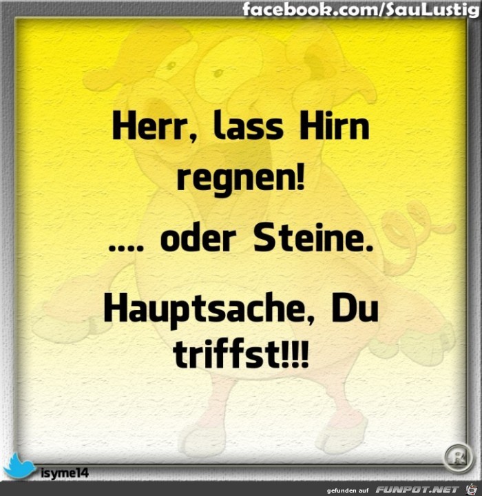 Lass Hirn regnen