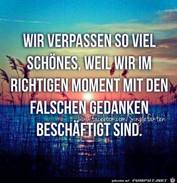 schoenes schoenes