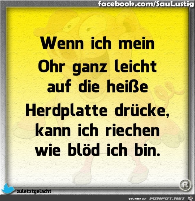 Herdplatte Herdplatte