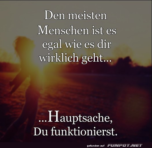 10 sch�ne Spr�che und Lebensweisheiten aus...