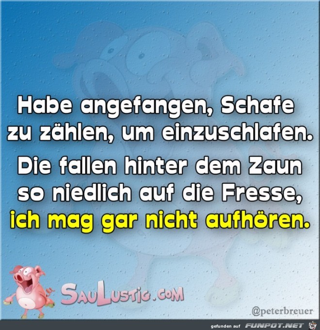 schafe-zaehlen schafe-zaehlen