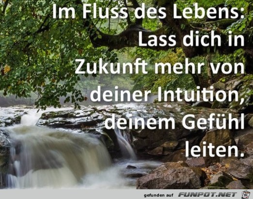 Im Fluss des Lebens