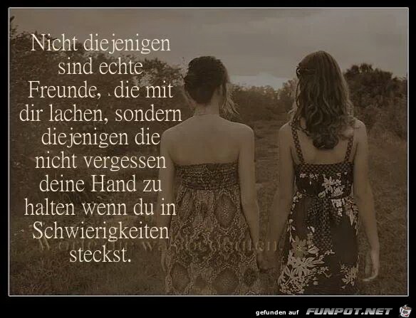 echte freunde echte freunde